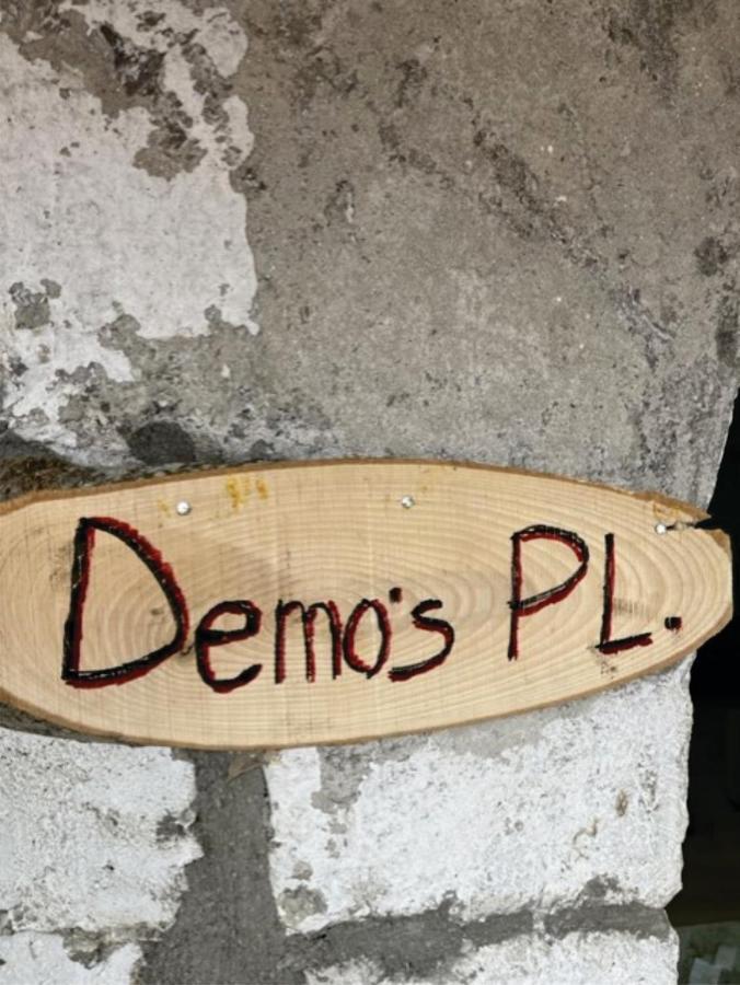 Demo'S Place Gusinje 外观 照片